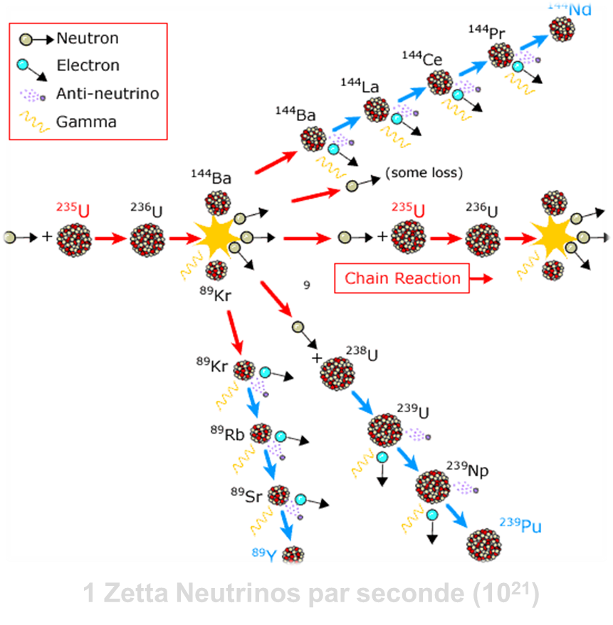 Nucifer : carnet de route d'un neutrino